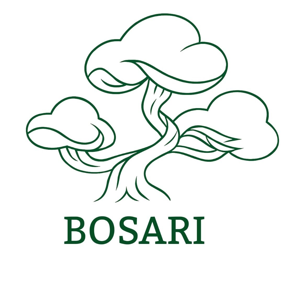 Trazos Árbol Bonsái