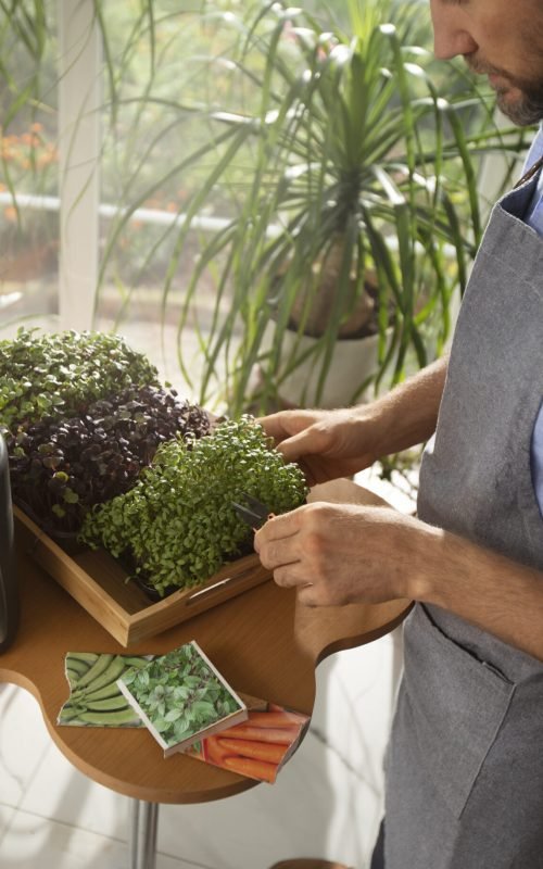 Hombre cultivando interior